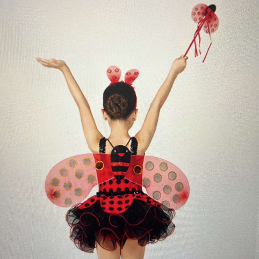 Gracie Lady Bug tutu New in bag. Tap jazz ballet. Halloween or dance - Picture 2 of 2